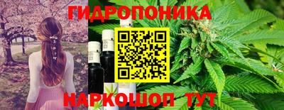 соль ск Пенза