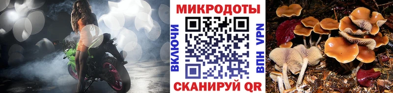 Галлюциногенные грибы мицелий  Тихорецк 