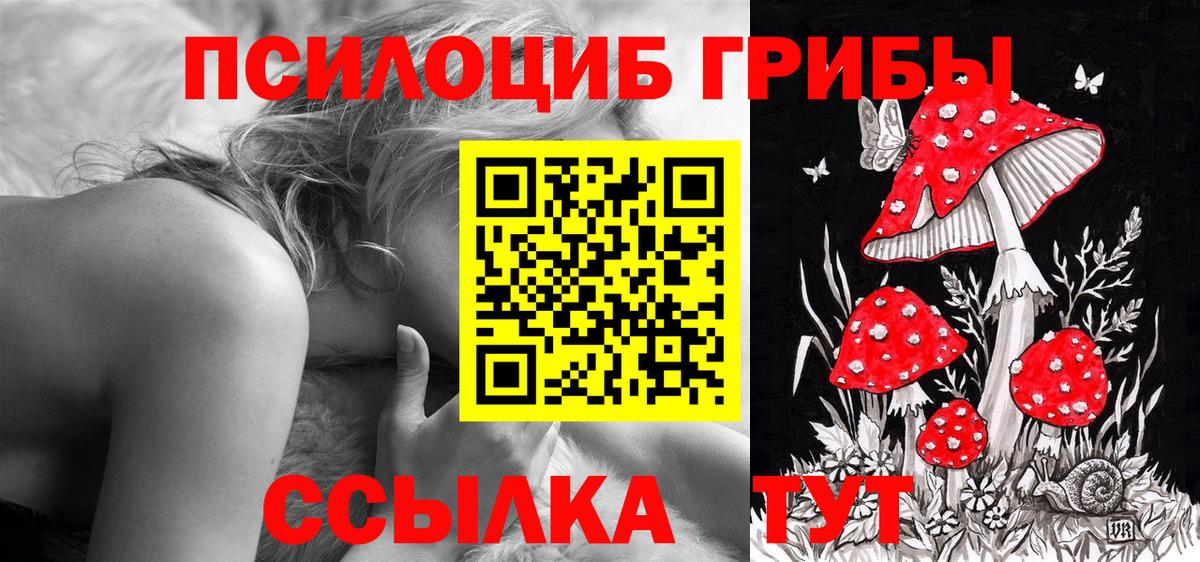 Меф кристаллы  Каннабис  Тихорецк  Кокаин  ГАШИШ  Вход с VPN 