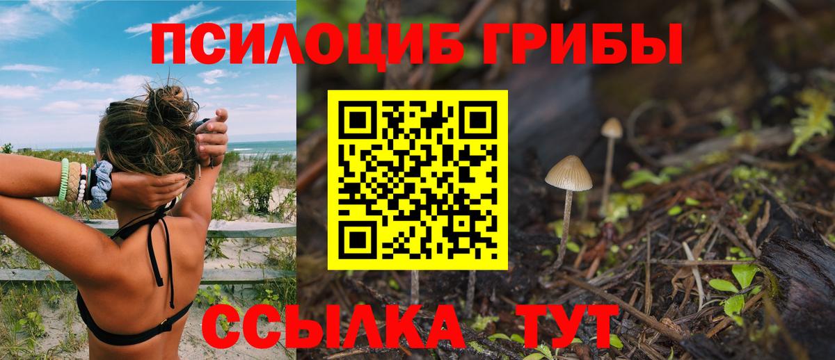 Псилоцибиновые грибы GOLDEN TEACHER  Вход с VPN  Тихорецк 
