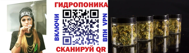 кракен сайт  Тихорецк  Шишки марихуана тримм  что такое  